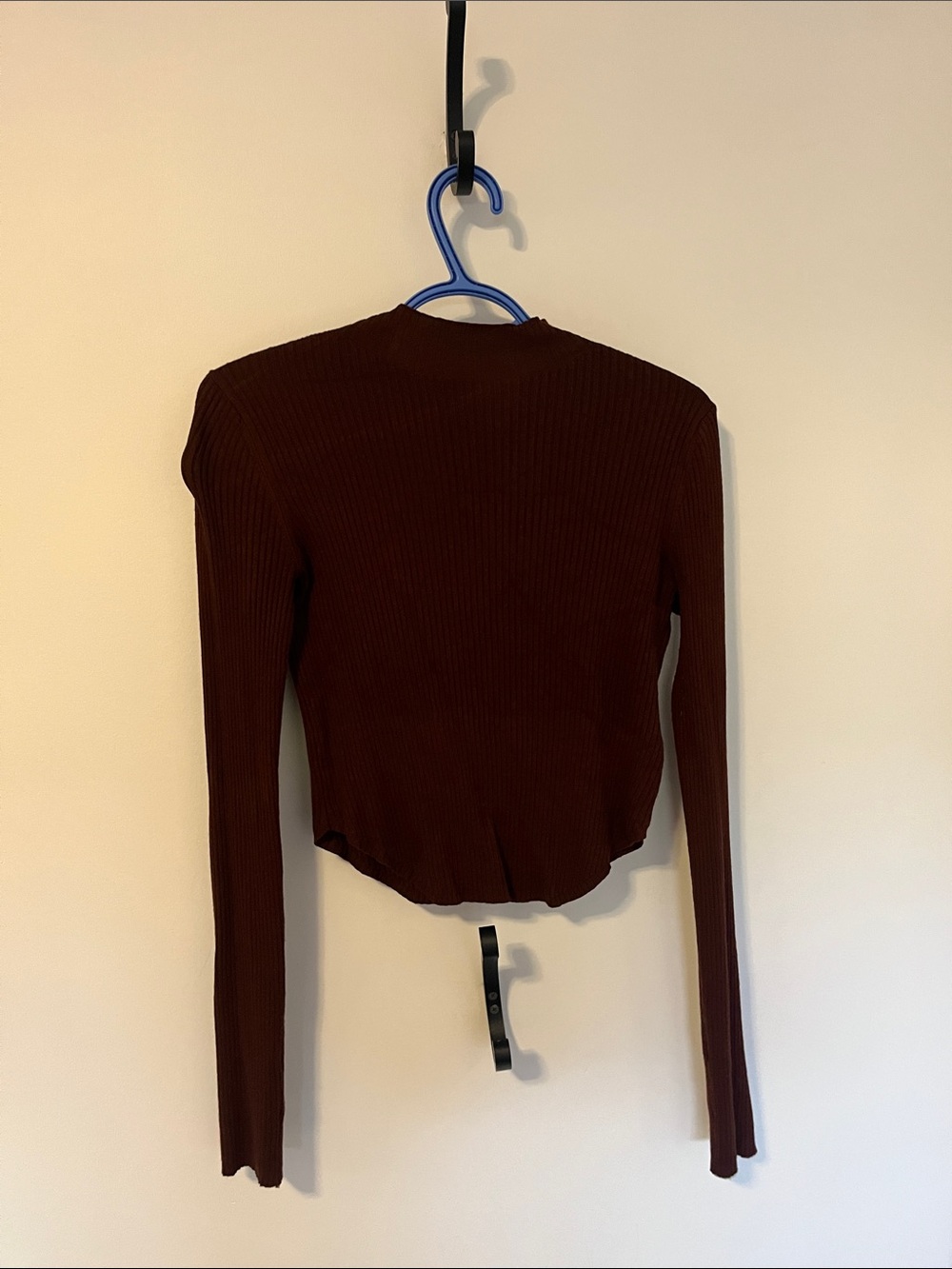 Ribbed Long-Sleeve Crop Top in Deep Brown